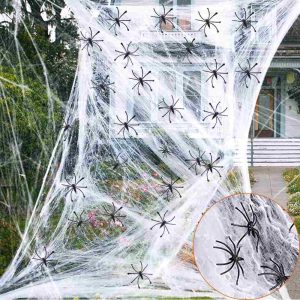 Spider Web with 2 Spiders for Halloween Decoration (One Stop Divisoria)