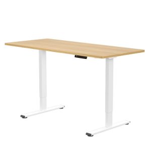 FlexiSpot E1 Pro Smart Standing Desk with Melamine Top, 120×60, 140×70, 180×80 cm (Flexispot Philippines)