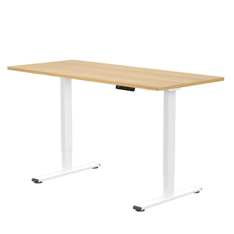 FlexiSpot E1 Pro Smart Standing Desk with Melamine Top, 120×60, 140×70, 180×80 cm (Flexispot Philippines)
