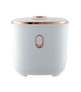 Kyowa Low Sugar Rice Cooker KW-2200, 1 L (Kyowa PH)